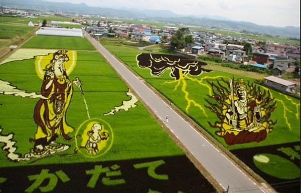 10. Bazı tarlalarda pirinç, devasa sanat eserleri gibi görünecek şekilde yetiştirilir. Bu resimler farklı pirinç türleri kullanılarak oluşturulmuştur.