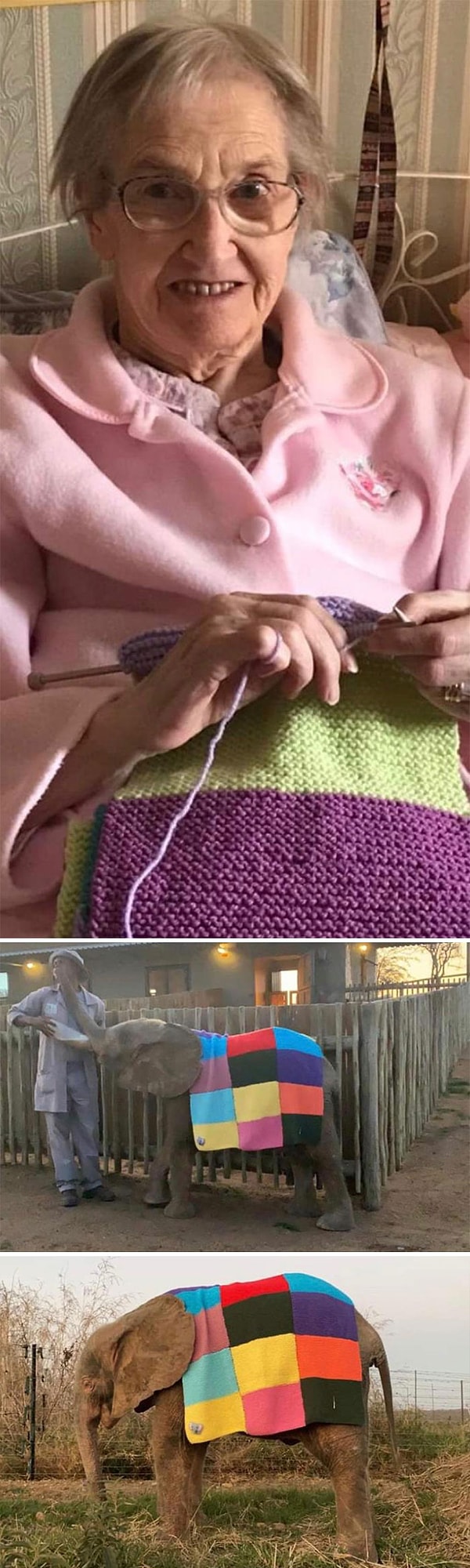 4. Моя бабушка связала одеяло для слоненка