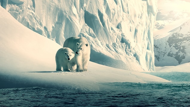1. Our Planet (2019)