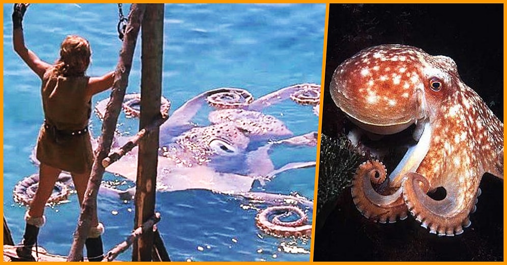 Çoğu Canlının Kanı Kırmızıyken Ahtapotların Kanının Mavi Olmasının Sebebi Ne?