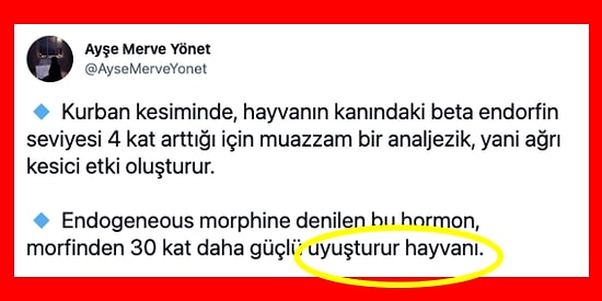 "Kurban Edilen Havyanlar Acı Çekmez" Diyen Kullanıcı Sosyal Medyayı İkiye Bölen Bir Tartışma Yarattı