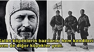 En Zorlu Mücadele! Antartika'da Hayatta Kalma Mücadelesi Veren Kaşif: Douglas Mawson