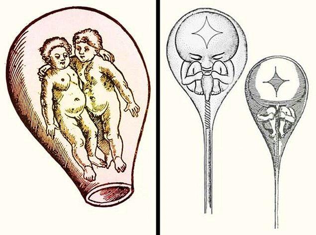 İnsanlar, spermlerde küçük insanların var olduğunu düşünürlerdi.