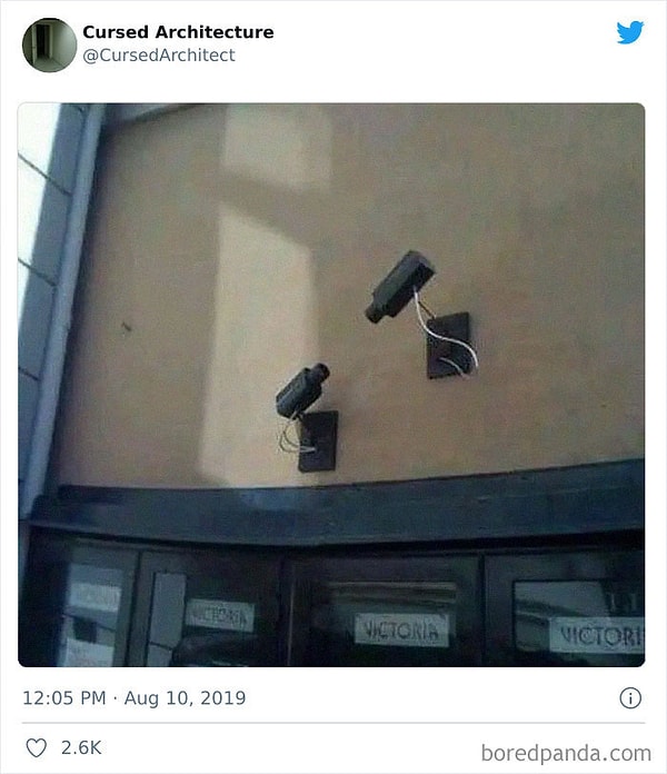 3. Кажется они влюбились друг в друга