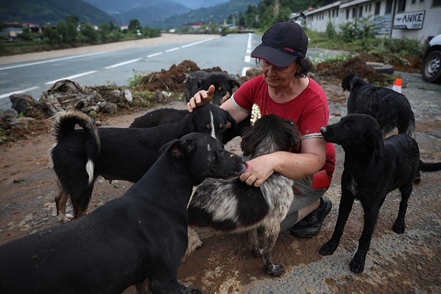 Su basan barınakta 25 köpek kurtarıldı