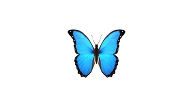 Ancak kelebek emojisi ondan ilham alınmış... O kadar meşhur ve göz kamaştırıcı bir varlık.