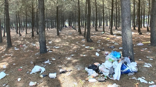 Çöpleri görenler duruma tepki gösterdi