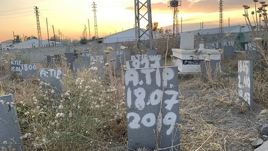 İsimler Yerine Sayılar: Van'ın Kimsesizler Mezarlığı Göçmenlerle Birlikte Büyüyor