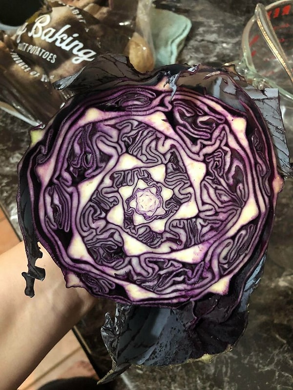 8. Внутренняя часть фиолетовой капусты