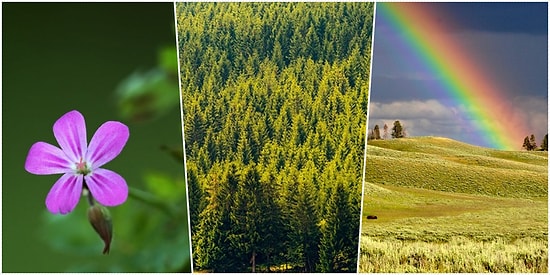 Bazen Baktığımız Güzellikleri Göremiyoruz: Doğanın Bize Armağanı 8 Şey