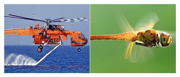2. Helikopter ve Yusufçuk