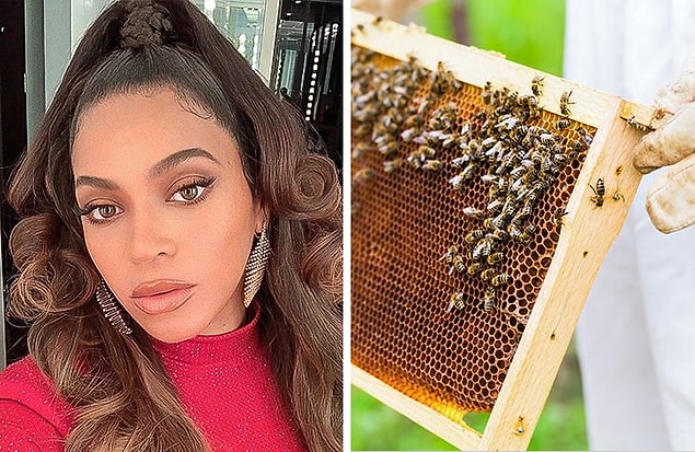 8. Beyoncé: Arıcılık