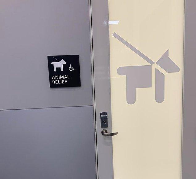 8. "San Francisco Havaalanı'nda evcil hayvanınızın tuvalet ihtiyacını gidermesi için bir alan vardır."