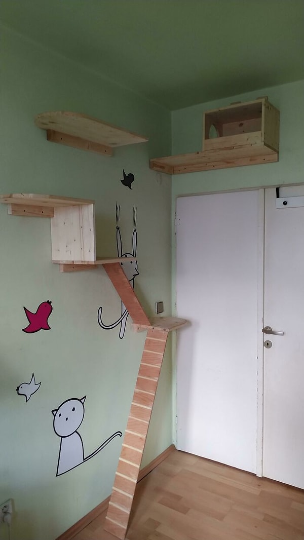 5. В свои 14 лет построил такой домик и лестницу для своей кошки