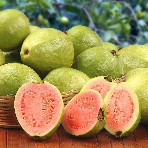 Guava