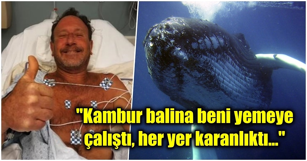 Balina Tarafından Yutulduğu Halde Hayatta Kalmayı Başaran Dalgıç En Merak Edilen Soruları Cevaplıyor!