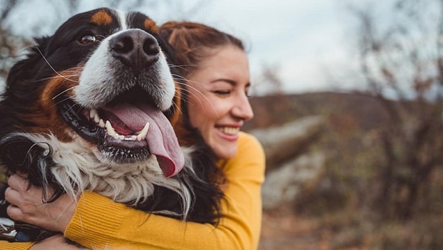 4. Sahipleneceğin köpeğe ne verebilirsin?