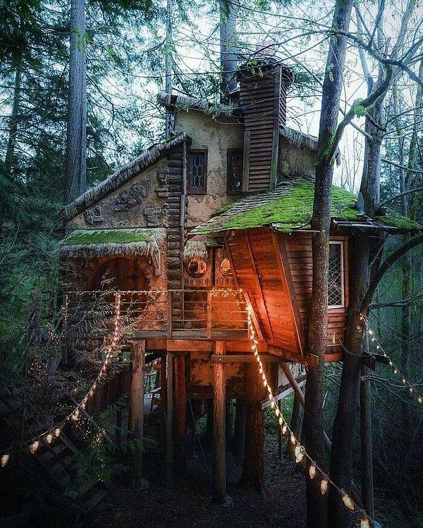 6. Kuzeybatı Pasifik'te cadılar için yapılmış gibi duran ağaç ev.