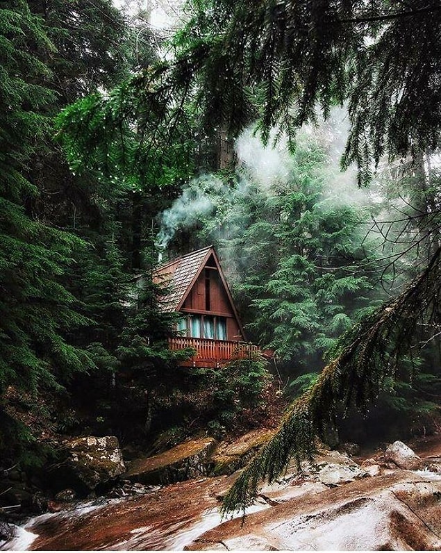 19. Washington Eyaleti'ndeki Franklin Falls Trail'de bulunan bu güzel kabin.