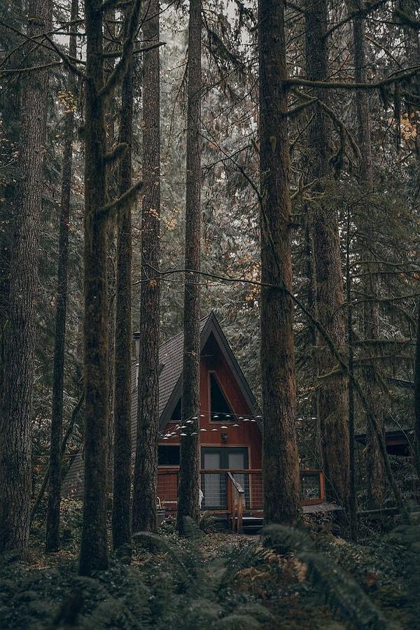 44. Kanada'daki bir ormanda bulunan bu küçük kabin.