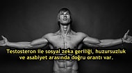 Dünyayı Yöneten Cinsellik Hormonu Testosteron Hakkında İlginç Bilgiler ve Deneyler