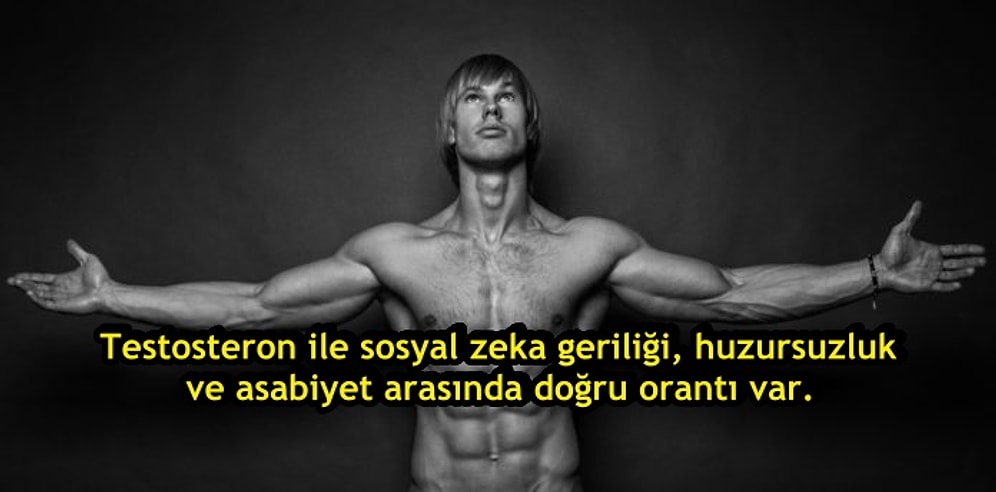 Dünyayı Yöneten Cinsellik Hormonu Testosteron Hakkında İlginç Bilgiler ve Deneyler
