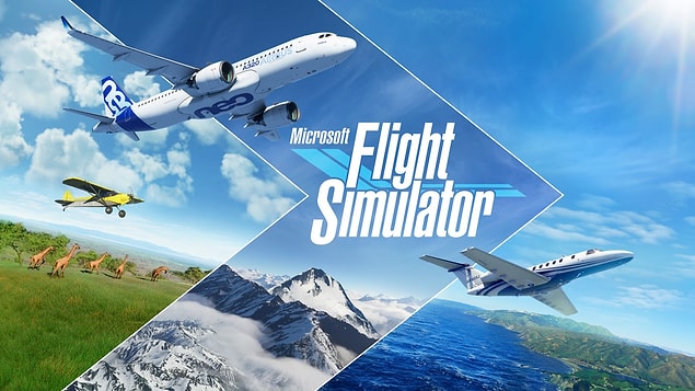 3. Microsoft Flight Simulator