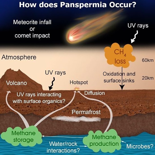 Panspermia teorisi temelde 3 aşamadan oluşur.
