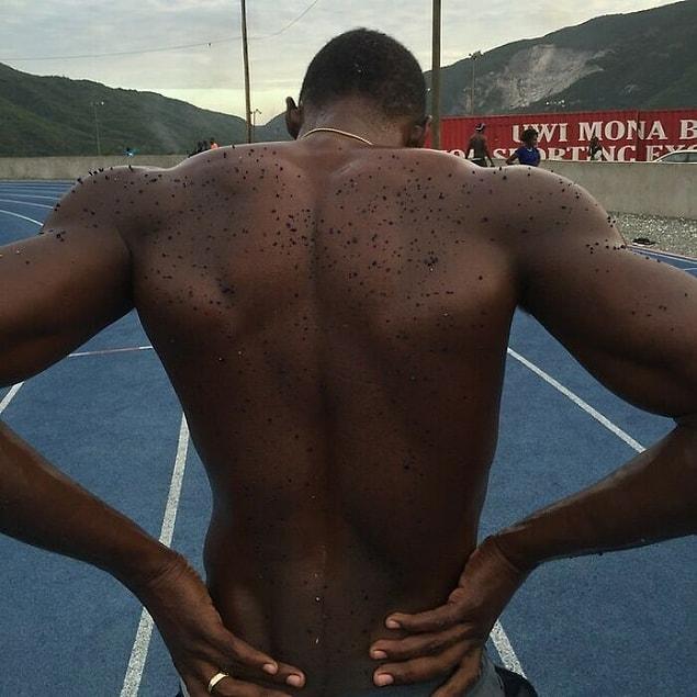 12. Dünyaca ünlü atlet Usain Bolt'un koşu antrenmanları sırasında saha alanının ne kadar aşındığını gözler önüne seren fotoğrafı: