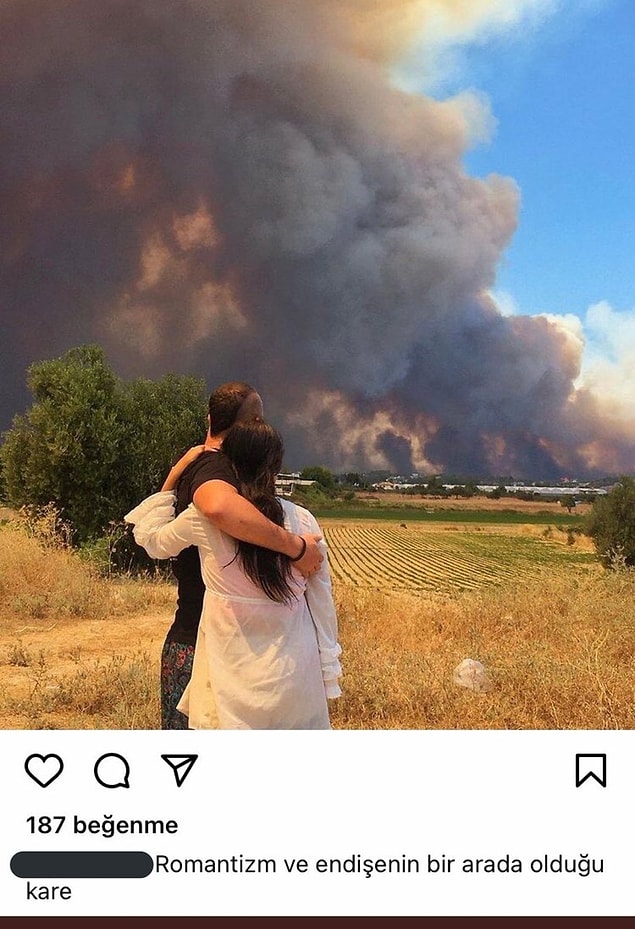 1. Hayvanların, doğanın cayır cayır yandığı yerde romantizm mi? Çıldırmışsınız siz!