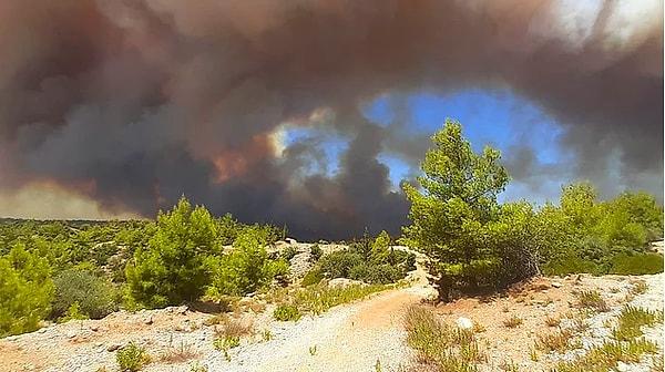 Dün öğle saatlerinde yine ciğerimize ateş düştü; Antalya'nın Manavgat ilçesinde, 4 ayrı noktada orman yangını çıktı.