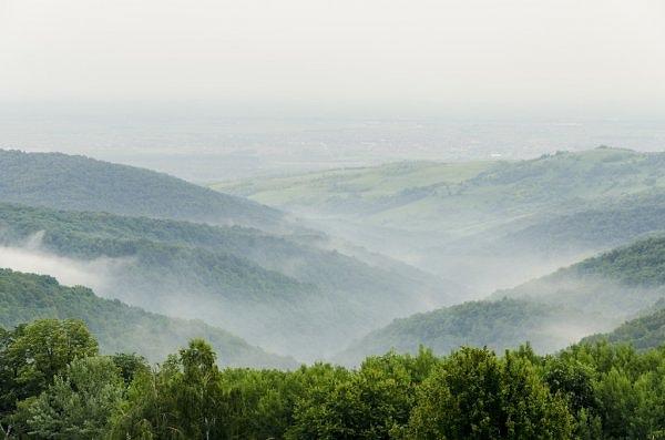 2. Fruška Gora Ulusal Parkı
