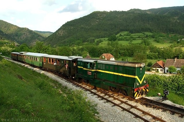 12. Mokra Gora