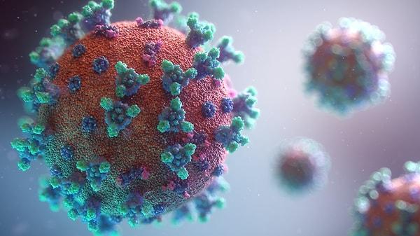 Miami Üniversitesi Miller Tıp Fakültesi Reprodüktif Üroloji Bölümü'ndeki araştırmacılar, koronavirüsten ölen altı erkeğin otopsisinde elde edilen testis dokularını inceledi.