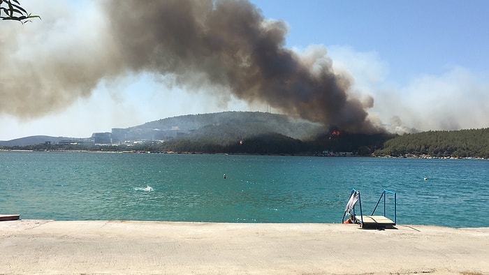 Türkiye Yanıyor! Bodrum, Didim, Alanya, Kütahya ve Kocaeli...