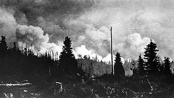 1910 Büyük Ateşi (Big Burn), ABD