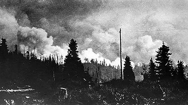 1910 Büyük Ateşi (Big Burn), ABD