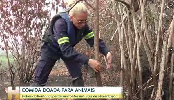 «Гага» даже успела потушить лесные пожары.