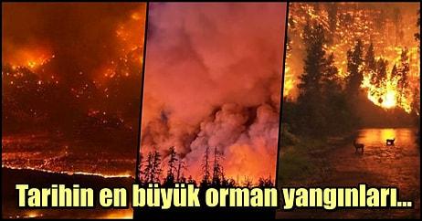 Dünyanın En Büyük Orman Yangınları Nerelerde Oldu?