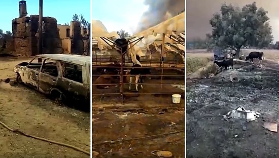 Manavgat'ta Meydana Gelen Yangının Boyutunu Gösteren Çiftçi Gözyaşları İçinde Kaldı