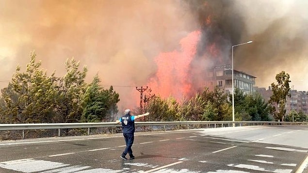 Bazı ekologlar, Akdeniz ormanlarının zaten birkaç milyon yıldır yanmakta olduğundan bahsetti.