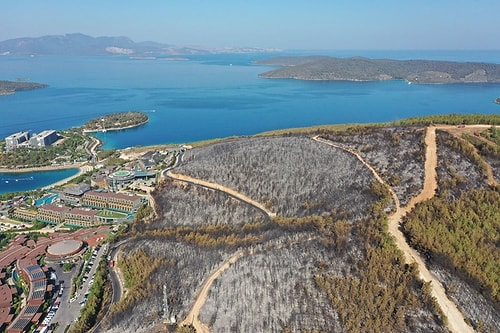 80 Hektar Alan Kül Oldu: Bodrum'daki Yangının Boyutları Gün Ağarınca Ortaya Çıktı