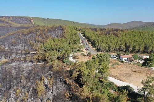 80 Hektar Alan Kül Oldu: Bodrum'daki Yangının Boyutları Gün Ağarınca Ortaya Çıktı