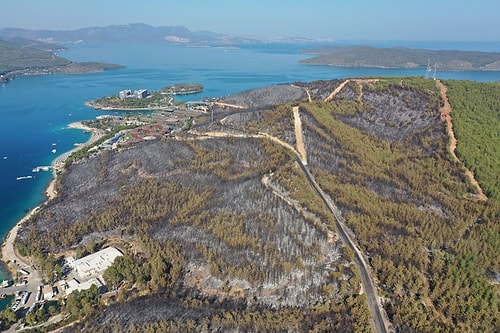 80 Hektar Alan Kül Oldu: Bodrum'daki Yangının Boyutları Gün Ağarınca Ortaya Çıktı