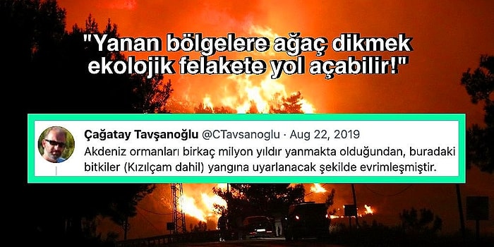 "Ciğerlerimiz Yanmıyor" Çünkü Akdeniz ve Ege'deki Ormanların Zaten Yanması mı Gerekiyordu?