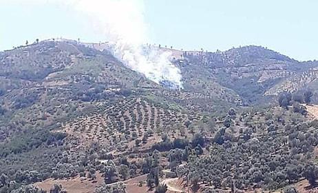 İzmir'in Kiraz İlçesinde Orman Yangını Çıktı