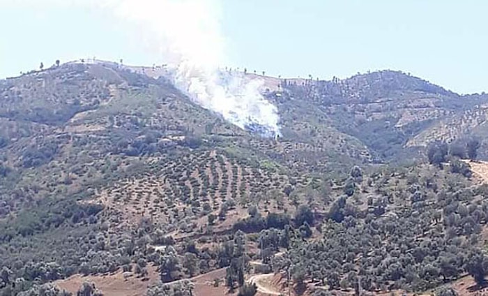 İzmir'in Kiraz İlçesinde Orman Yangını Çıktı