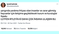 Güney Şehirlerimizle Birlikte İçimizi de Yakan Yangının Yaralarının Sarılması İçin Seferber Olan Kurumlar