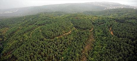 10'dan Fazla İlde Ormanlara Girişler Yasaklandı