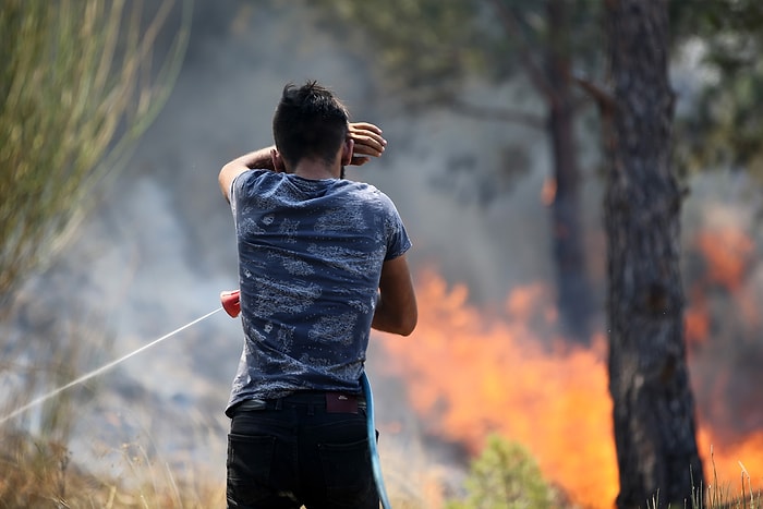 Yangınlarla Mücadelede Son Durum Ne? Kaçı Söndürüldü, Kaçı Devam Ediyor?